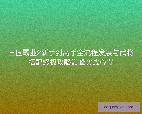三国霸业2新手到高手全流程发展与武将搭配终极攻略巅峰实战心得