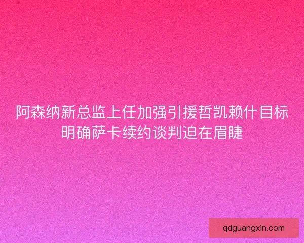 阿森纳新总监上任加强引援哲凯赖什目标明确萨卡续约谈判迫在眉睫
